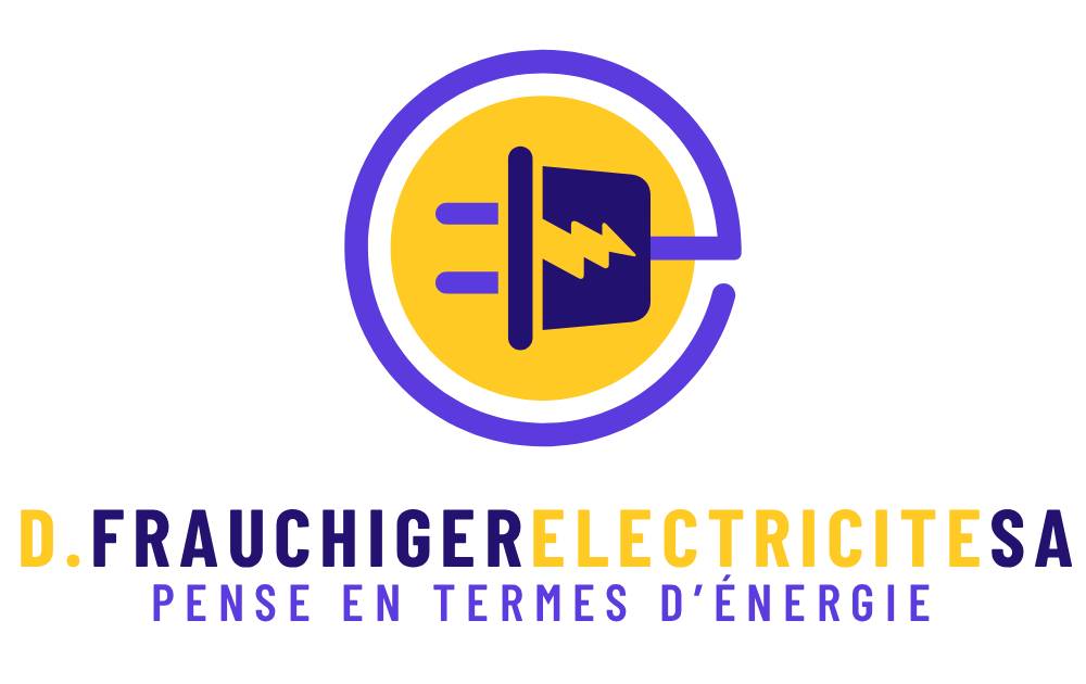 D. Frauchiger Electricité SA
