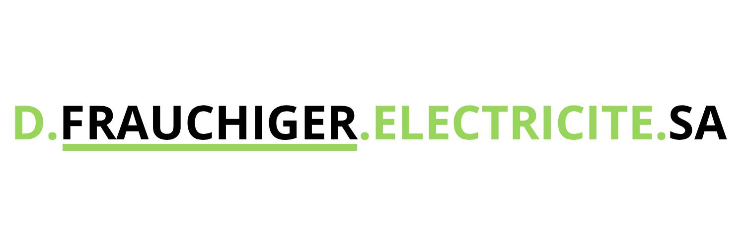 D. Frauchiger Electricité SA